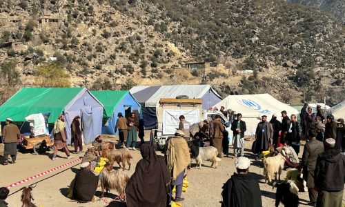 2- Goat Dist. Chawkay district of Kunar