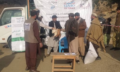 Chicken Distribution in Dara Noor district of Nangar Province
