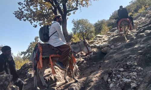 Project DVM going to the mountanioius village of Kunar province