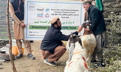 Project DVM treating the livestock