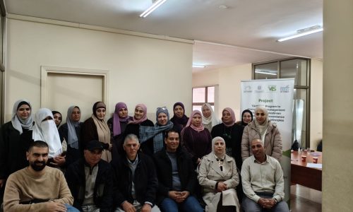 tasheen_palestina_5